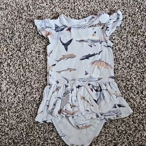 Posh Peanut Shark Bodysuit Twirl 3-6 Months